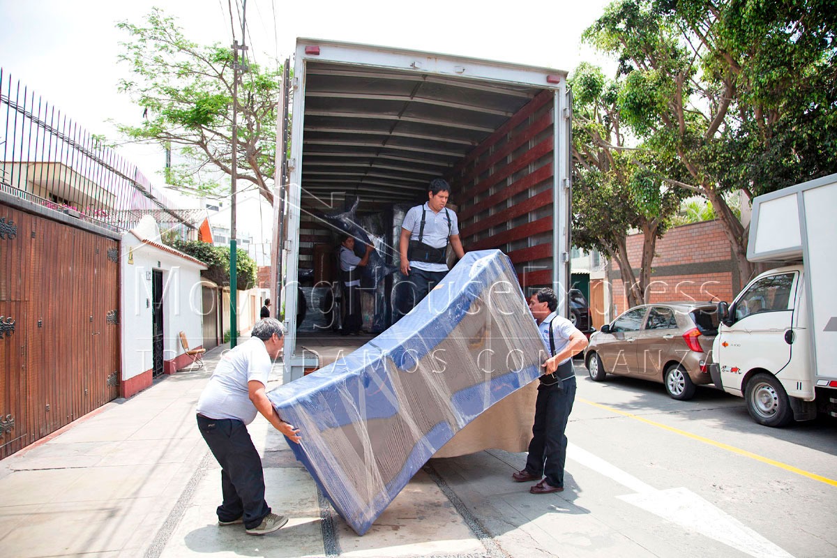 b21_22_11zon mudanzas